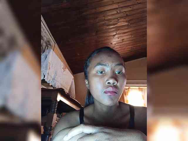 Stella11 webcam