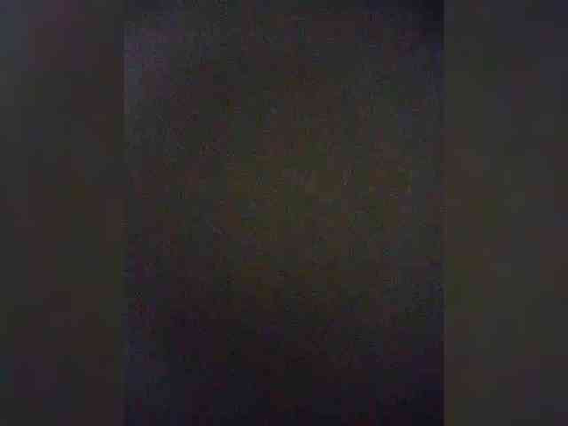 Stella11 webcam