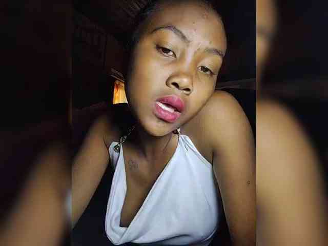Stella11 webcam