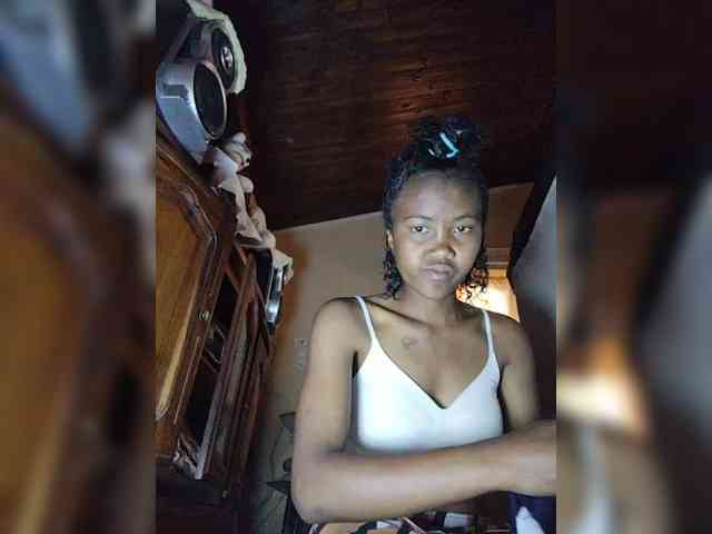 Stella11 webcam