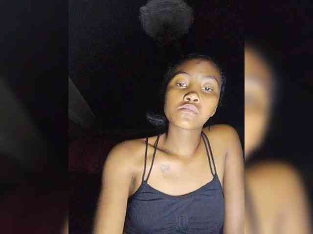 Stella11 webcam