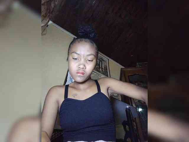 Stella11 webcam