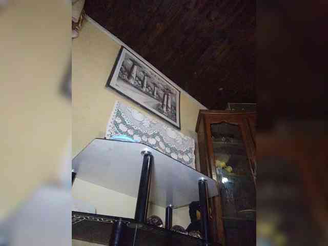 stella11's live room