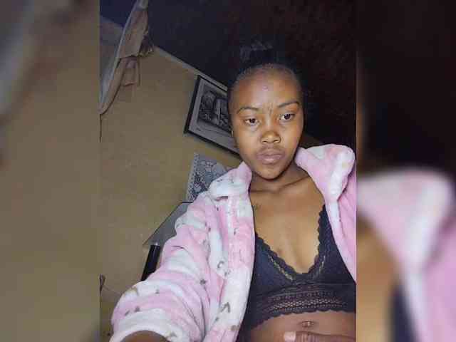 Stella11 webcam