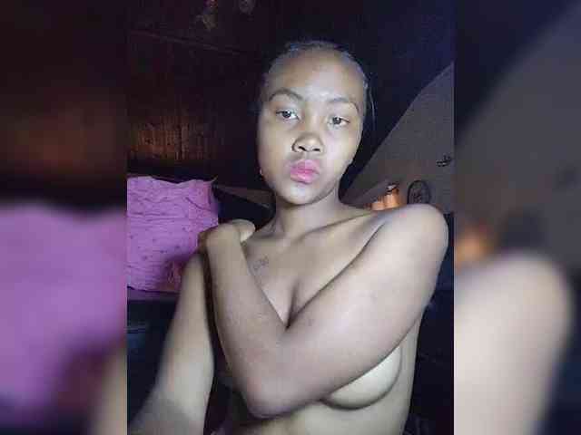 Stella11 webcam