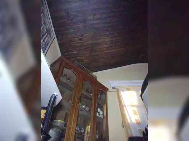 Stella11 webcam