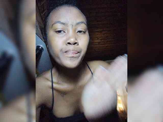 Stella11 webcam