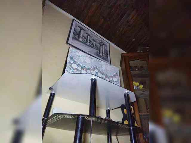 Stella11 webcam