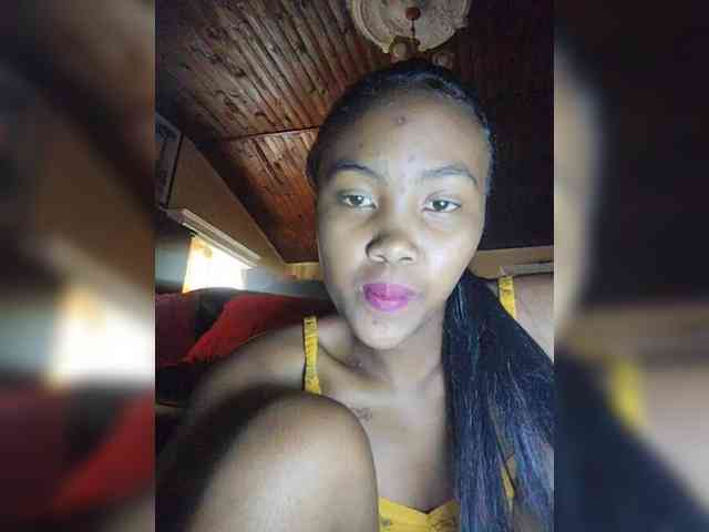 Stella11 webcam