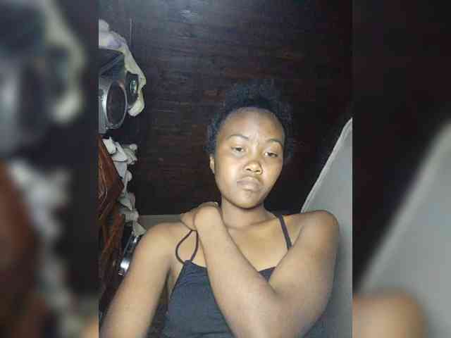 Stella11 webcam