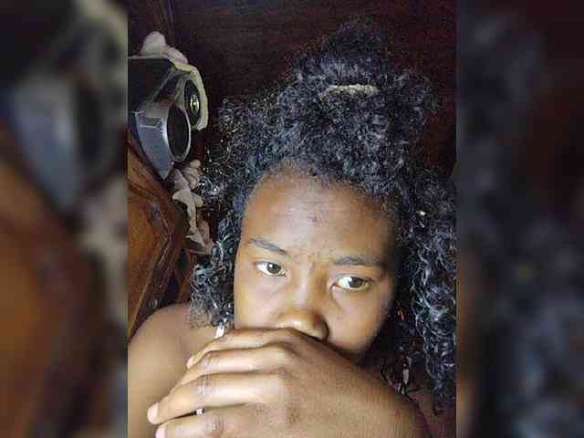 Stella11 webcam