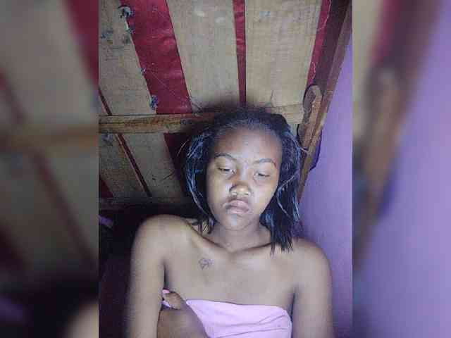 Stella11 webcam