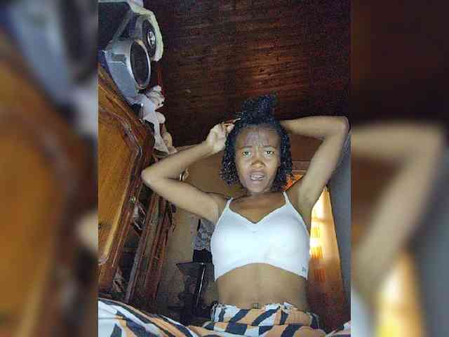 Stella11 webcam
