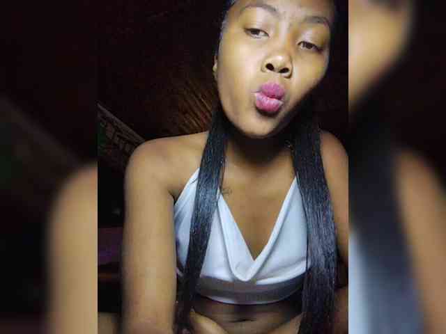 Stella11 webcam