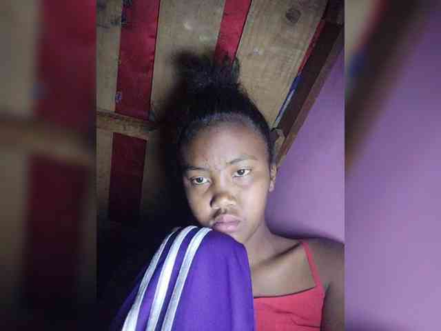 Stella11 webcam