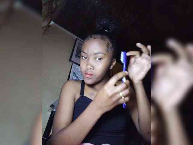 Stella11 webcam
