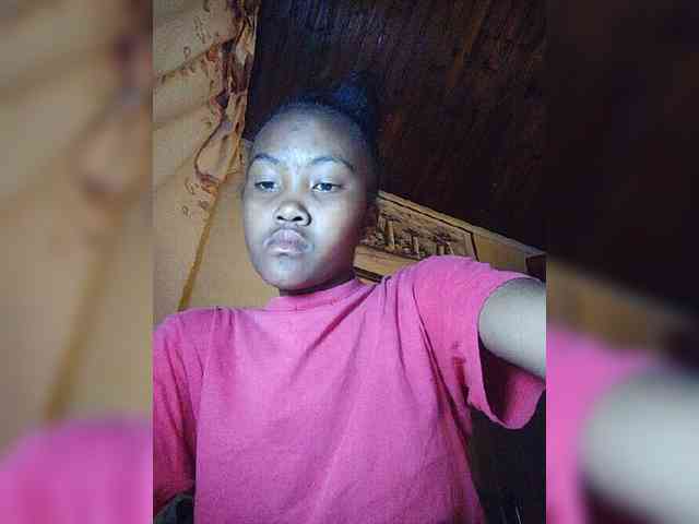 Stella11 webcam
