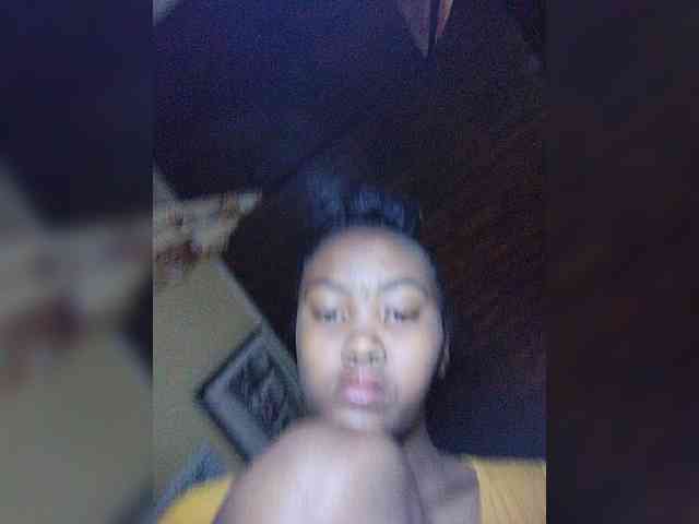 Stella11 webcam
