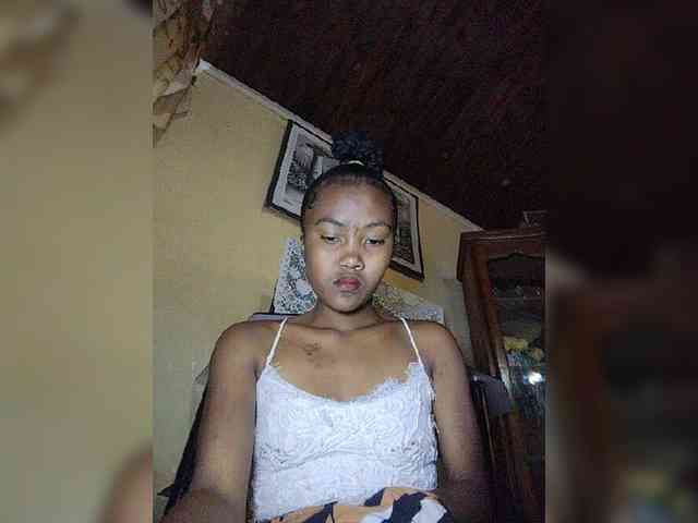 Stella11 webcam