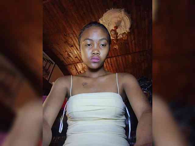 Stella11 webcam