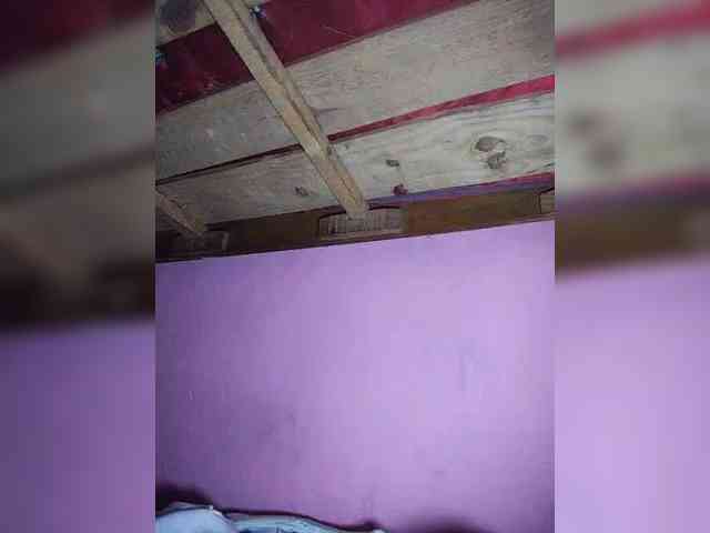 Stella11 webcam