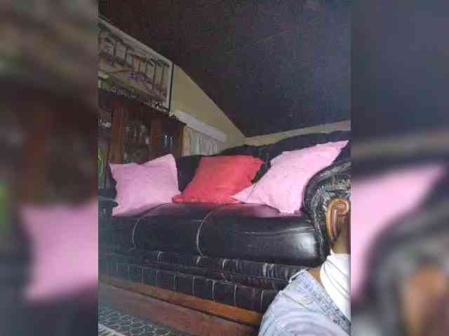 Stella11 webcam