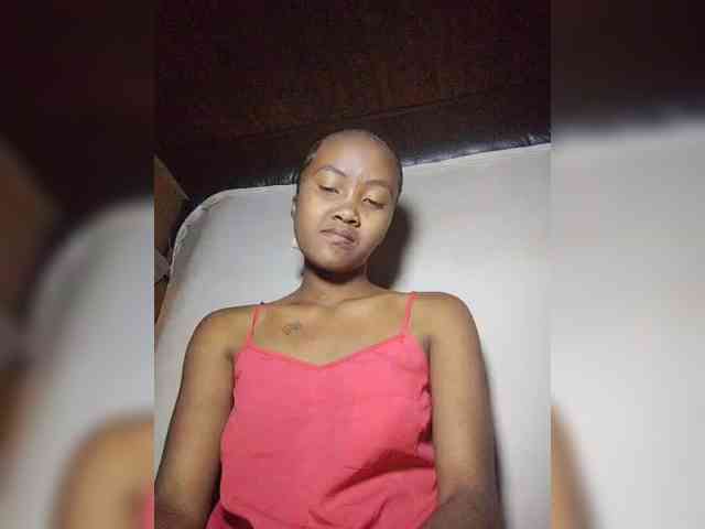 Stella11 webcam