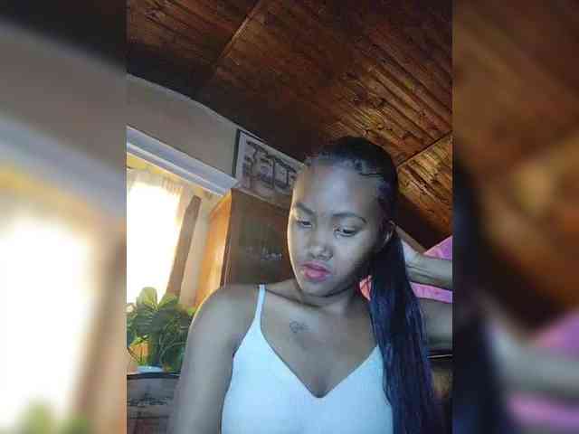 Stella11 webcam