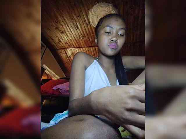 Stella11 webcam