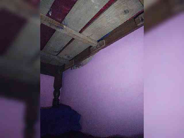 Stella11 webcam