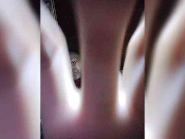 Stella11 webcam