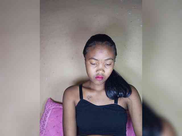 Stella11 webcam