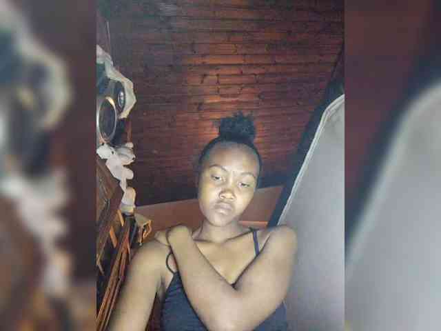 Stella11 webcam