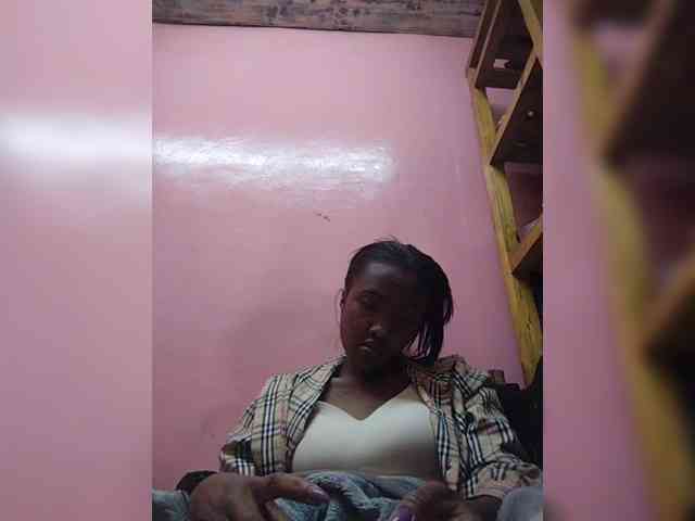 Stella11 webcam