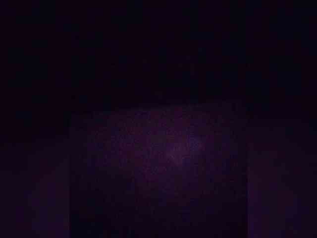 Stella11 webcam