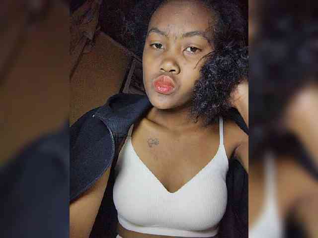 Stella11 webcam