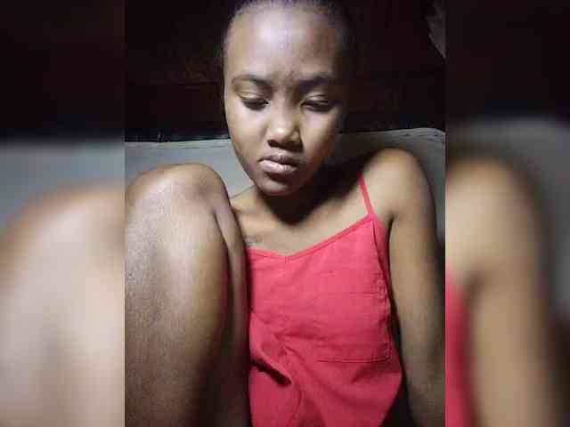 Stella11 webcam