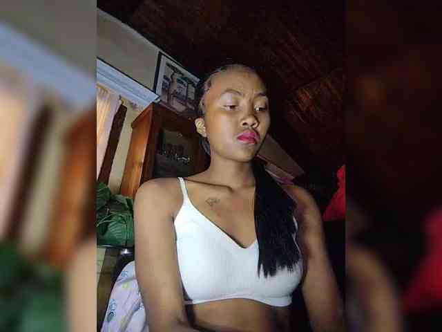 Stella11 webcam