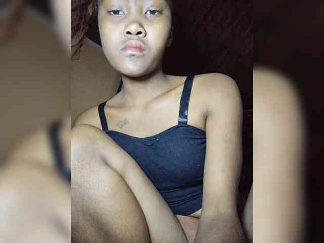 Stella11 webcam