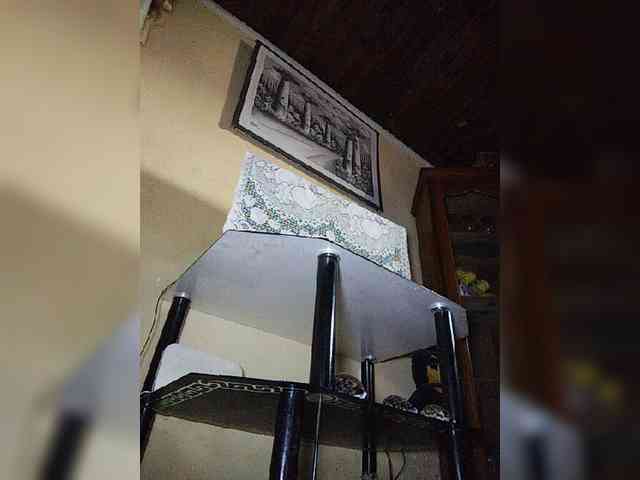 Stella11 webcam