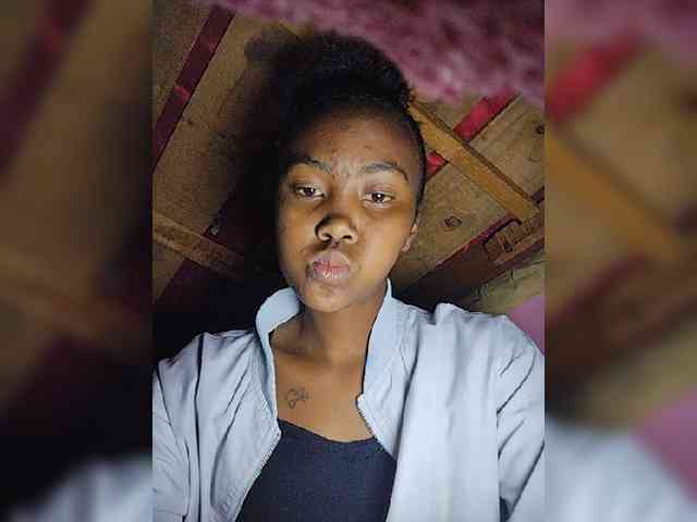Stella11 webcam