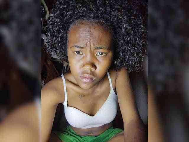 Stella11 webcam