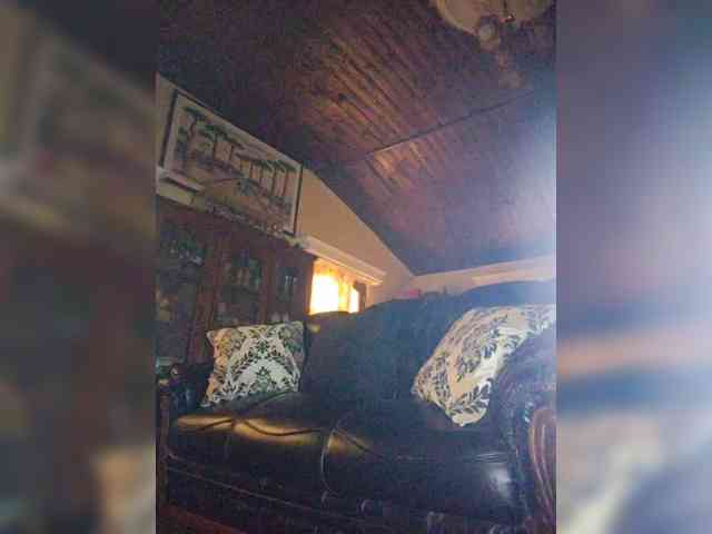 Stella11 webcam
