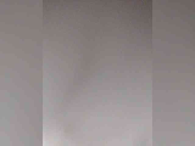Stella11 webcam