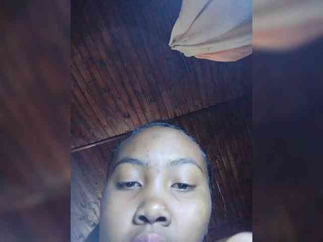 Stella11 webcam