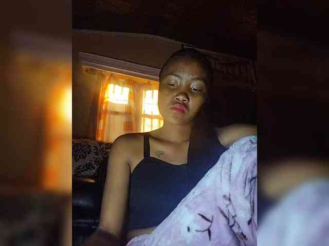 Stella11 webcam