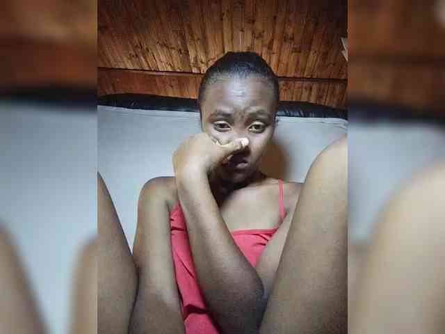 Stella11 webcam