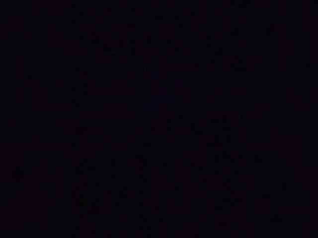 Stella11 webcam