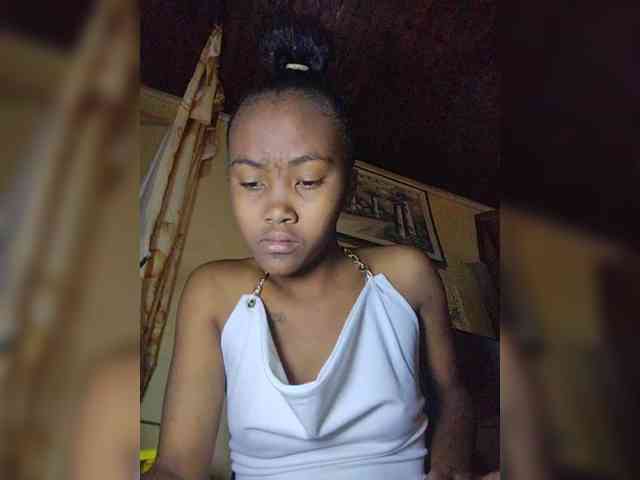 Stella11 webcam