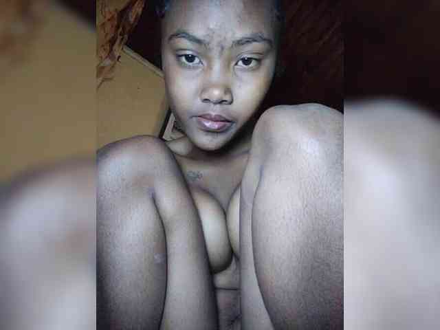 Stella11 webcam